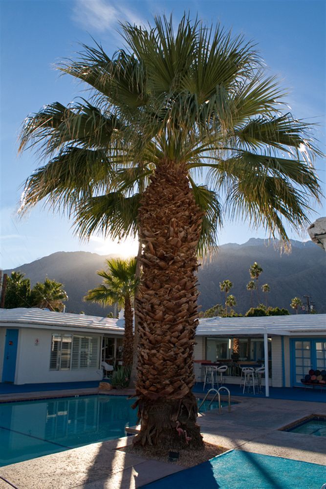 Hotel Palm Springs Rendezvous Exterior foto